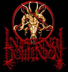 logo Infernal Dominion